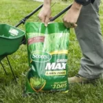 where to buy best evergreen fertilizer 18-5-0