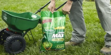 where to buy best evergreen fertilizer 18-5-0