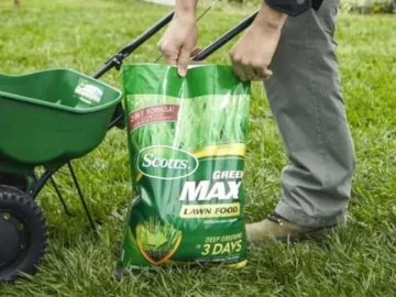 where to buy best evergreen fertilizer 18-5-0