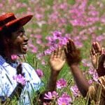 the color purple 2023 torrent