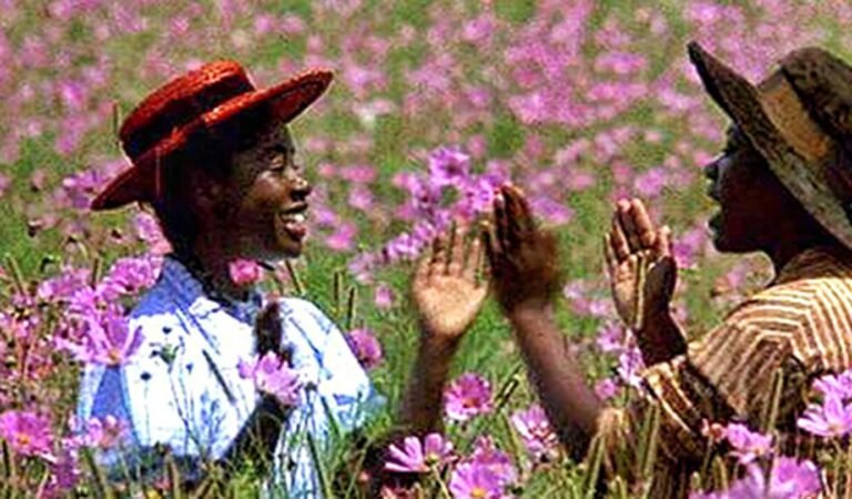 The color purple 2023 torrent