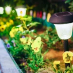 Outdoor Solar Light