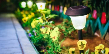 Outdoor Solar Light