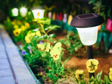 Outdoor Solar Light